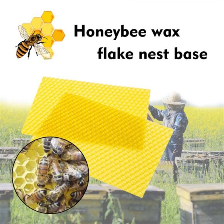 Beeswax foundation