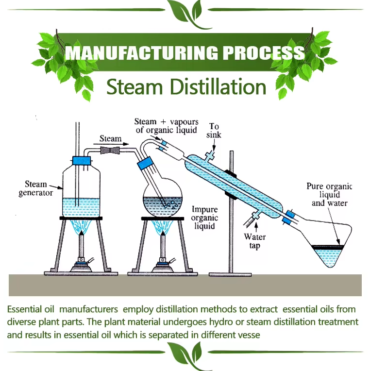 Methyl Salicylate 119-36-8